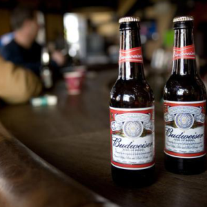 bia budweiser mỹ