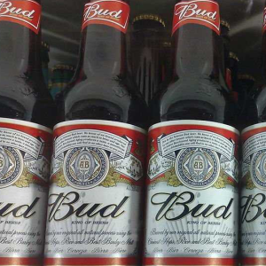 hương vị đặc biệt của bia budweiser