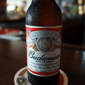 quy trình sản xuất bia budweiser